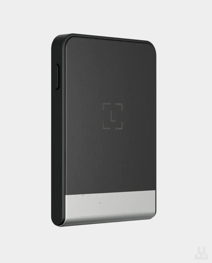 ledger flex back photo