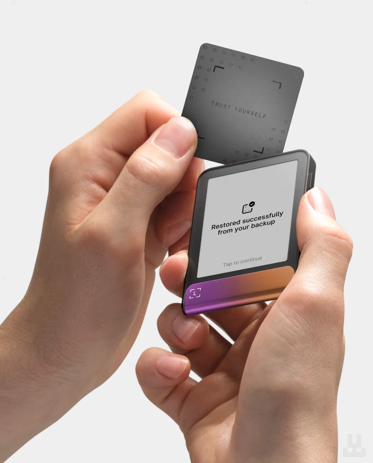 Ledger Flex Ferro Fuschia and Recovery Card
