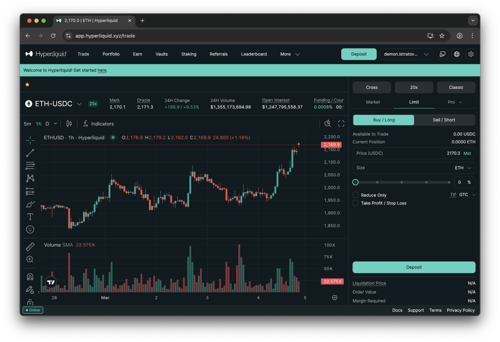 What is Perp Dex Hyperliquid Interface