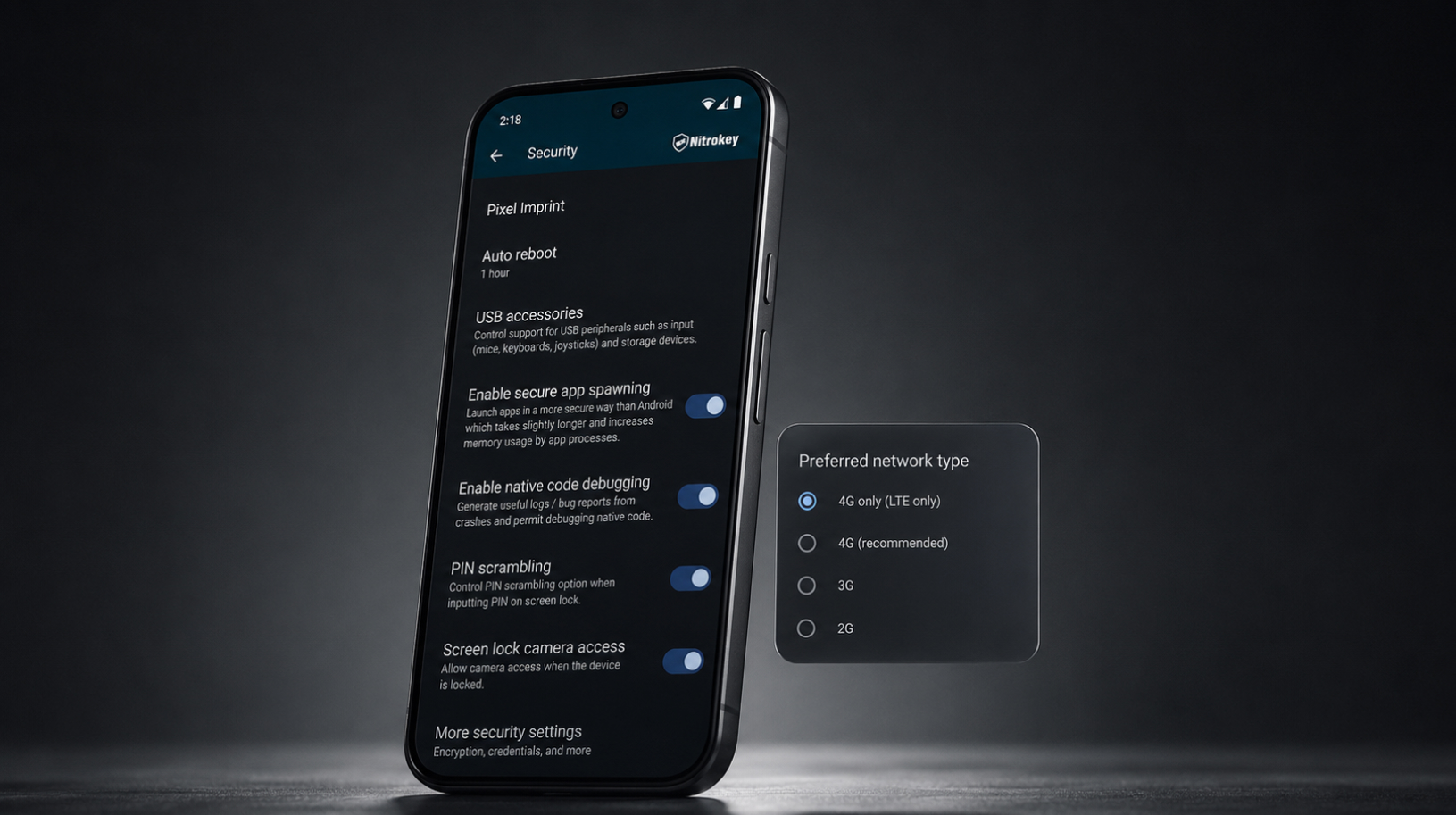 Nitrophone 10a Zero-Day Attack