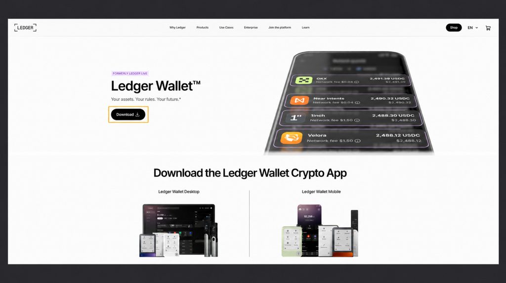 Official Ledger Wallet page with the Download button highlighted