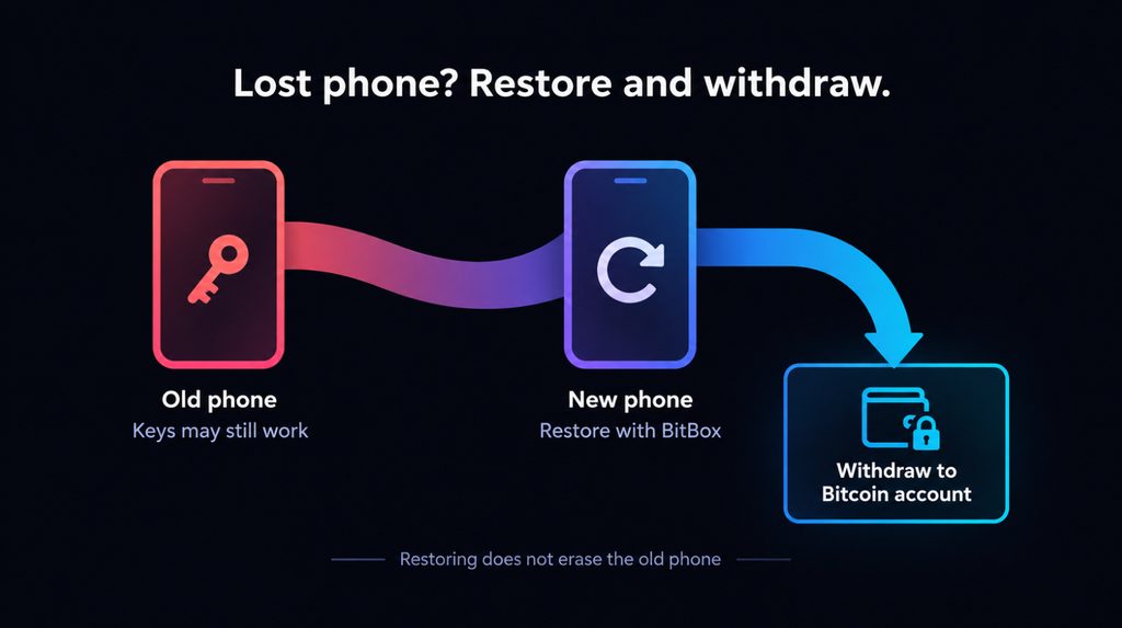 Restore the Lightning wallet after losing a phone and withdraw funds to a Bitcoin account