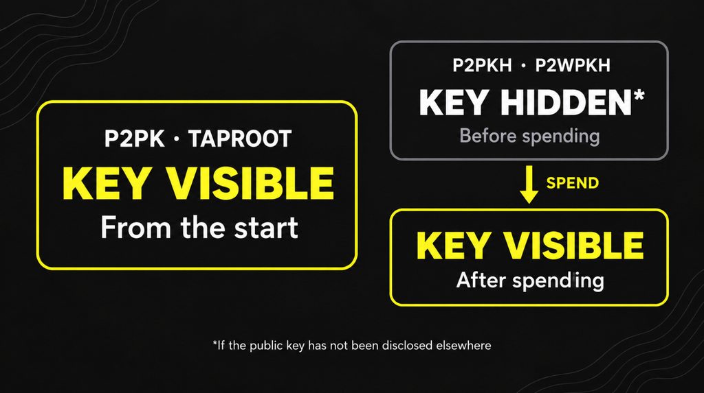 Public key exposure in P2PK and Taproot outputs and after spending P2PKH and P2WPKH outputs